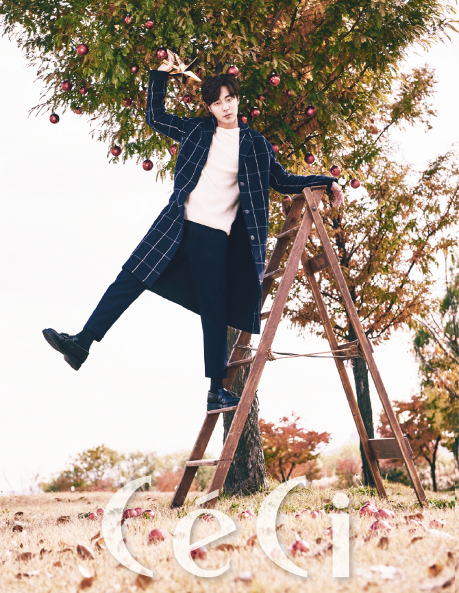  로이킴 '크리스마스트리 어때요~'                                                                                                                                                        