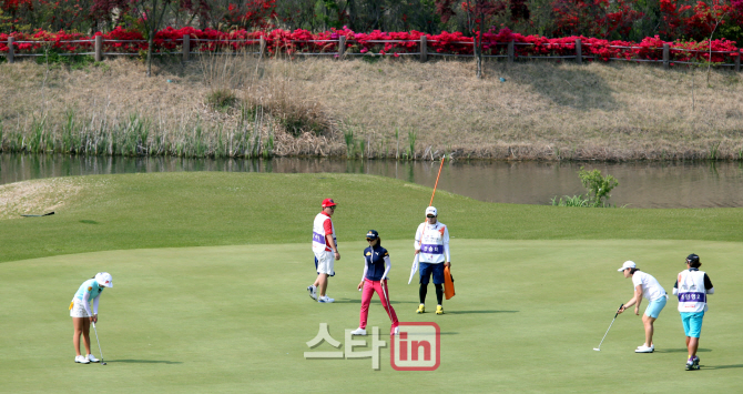 한국여자골프, 18년간 28배 성장..'화수분 골프'와 마케팅의 힘