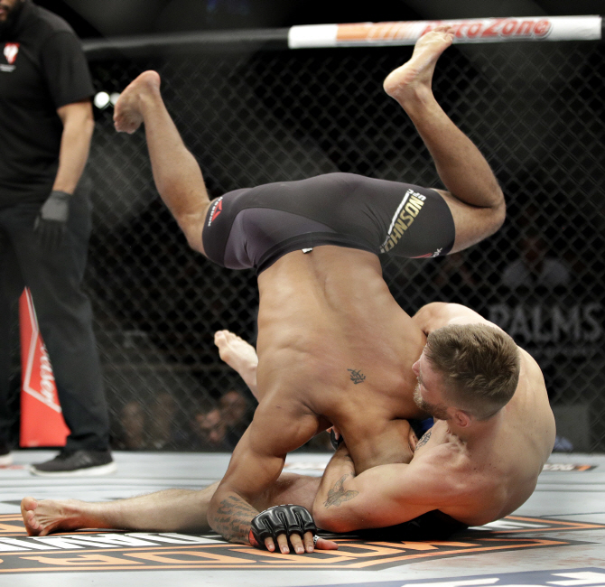 UFC 드미트리우스 존슨-엘리엇 경기 중                                                                                                                                                              