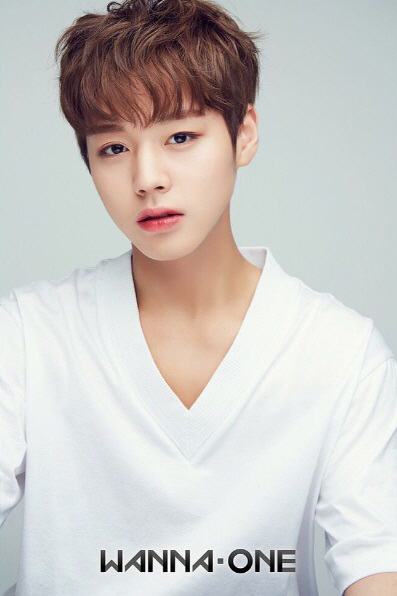 워너원 박지훈, '함께 여름휴가 가고 싶은 스타' 1위