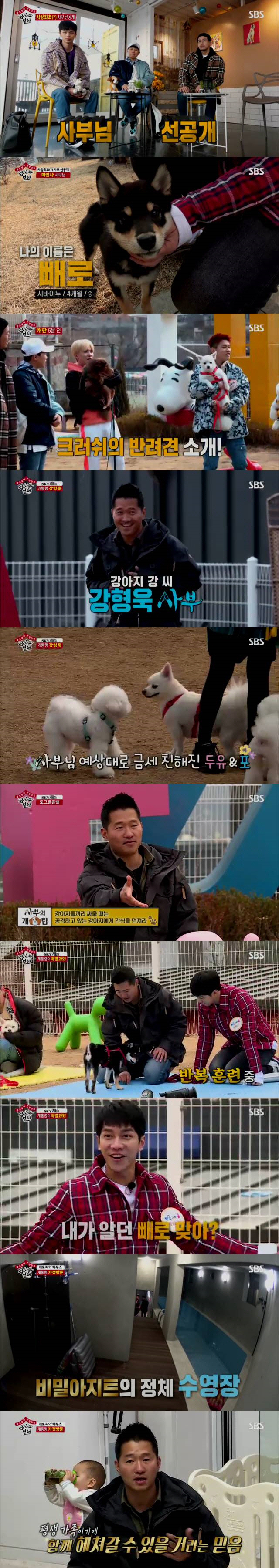 강형욱 '개토피아' 집 공개... 강아지 80마리 똥 먹은 이유는?