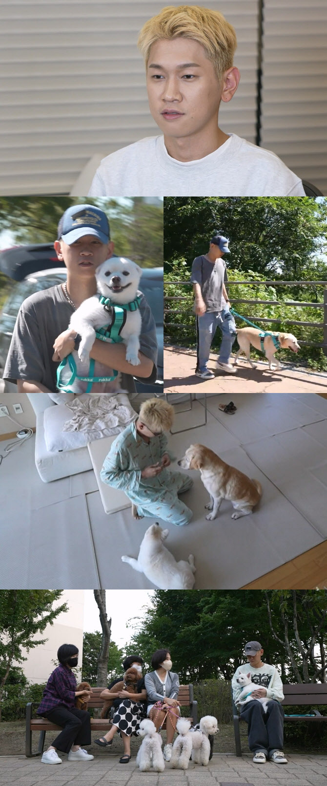 크러쉬, '나혼산' 6년만 컴백…반려견과 1일 2산책 - Vimarsana News