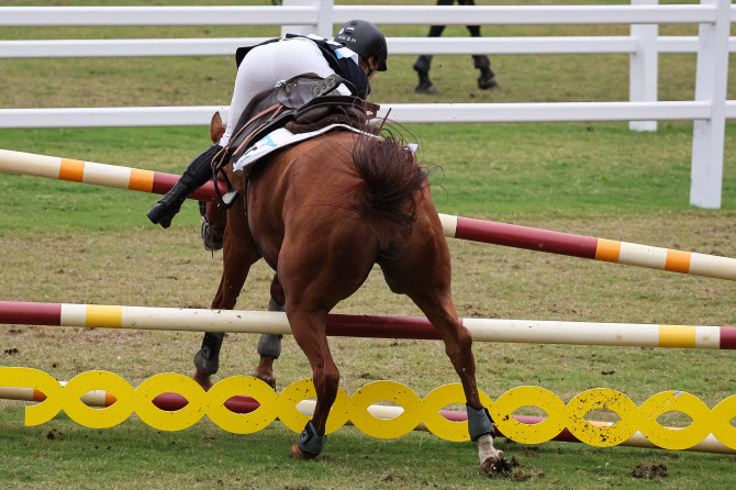근대5종 여자 결선 마장마술 도중 낙마하는 김세희                                                                                                                                                         