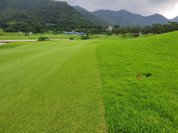 톱골퍼도 파 세이브 ‘헉헉’…러프 피해야 KPGA 선수권 우승 보인다