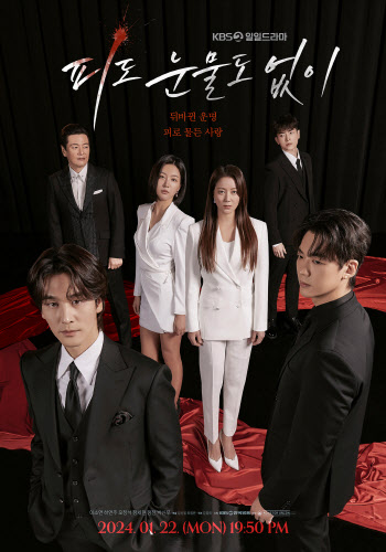 KBS 새 일일극 '피도 눈물도 없이', 22일 첫방송