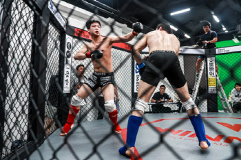 '아마추어 MMA' KMMA, 18번째 대회 개최...페더급 챔피언 가린다